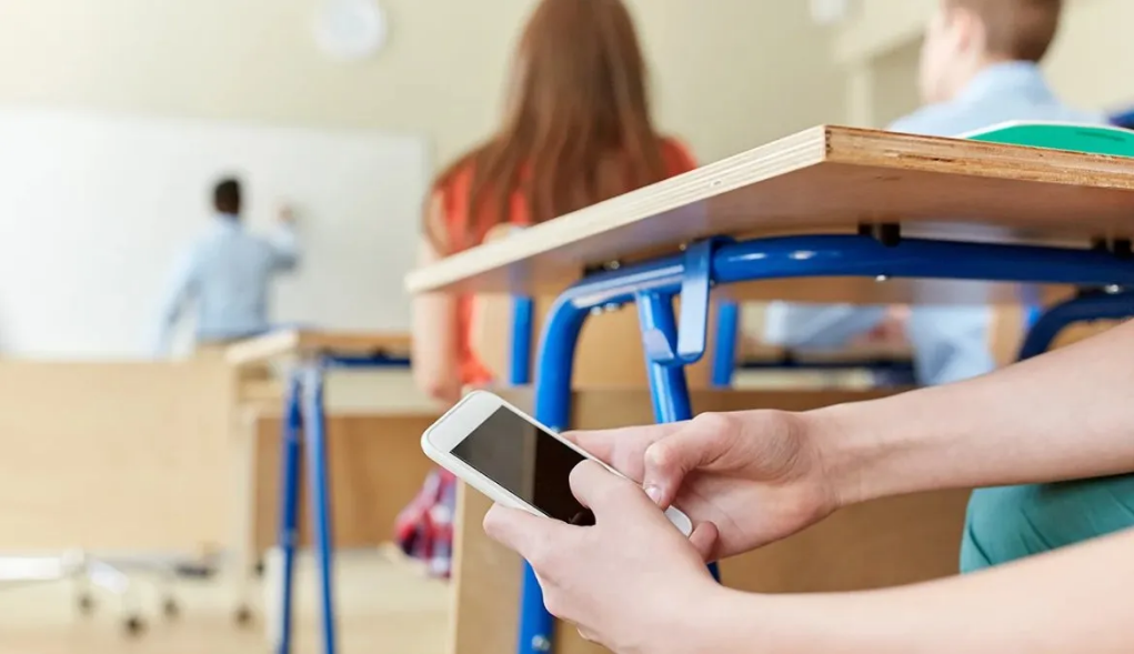 educación