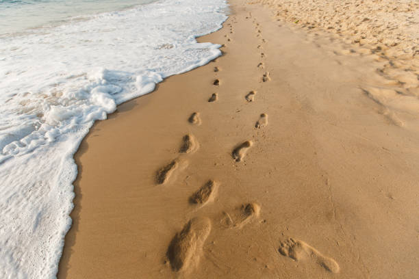 istockphoto-1353668353-612x612